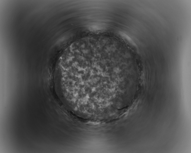 X0000094190917200711161745