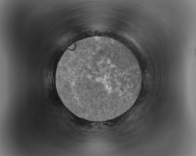 X0000094190918200711161745