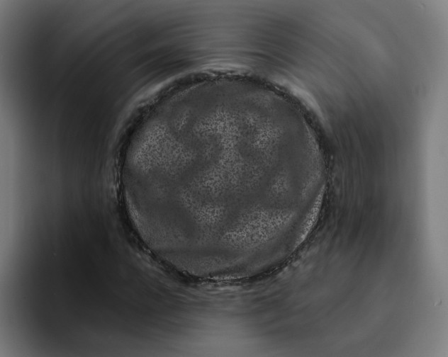 X0000094190920200711161745