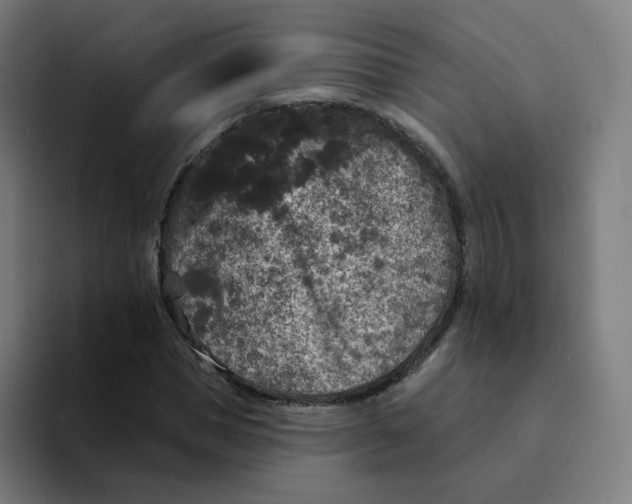 X0000094190921200711161745