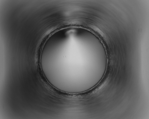 X0000094190922200711161745