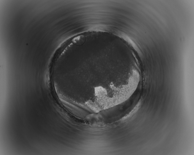 X0000094190923200711161745