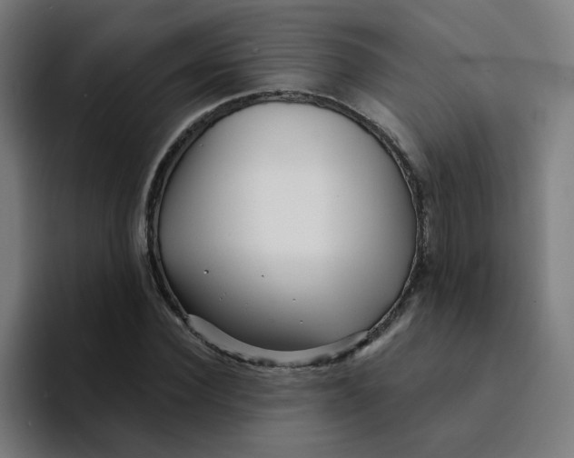 X0000094190924200711161745