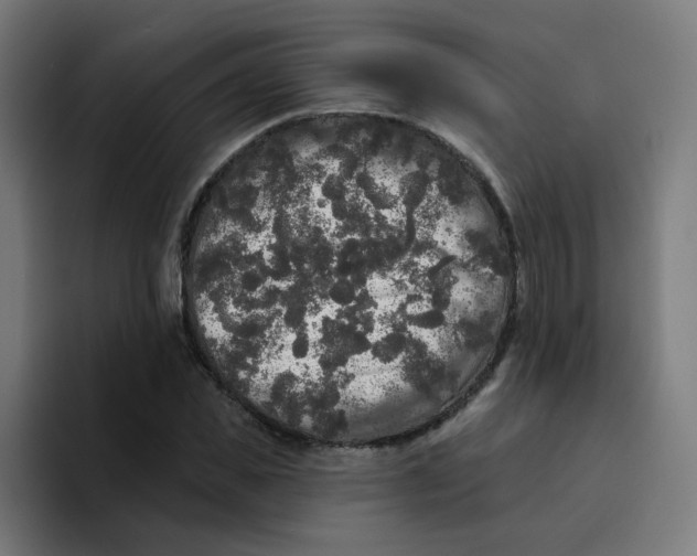 X0000094190925200711161745