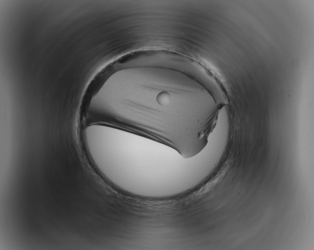 X0000094190928200711161745