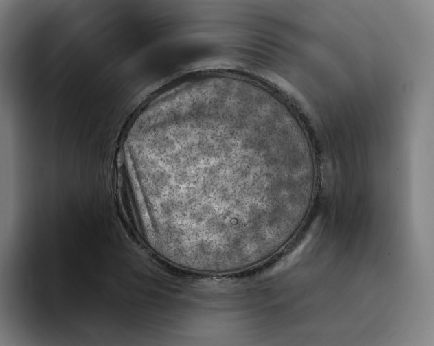 X0000094190929200711161745