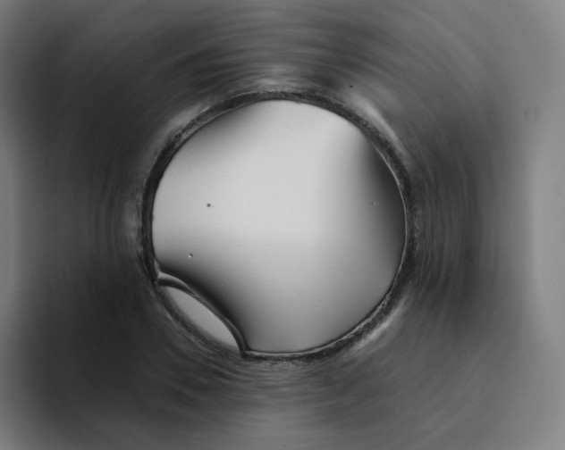 X0000094190930200711161745