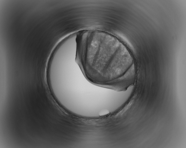 X0000094190932200711161745