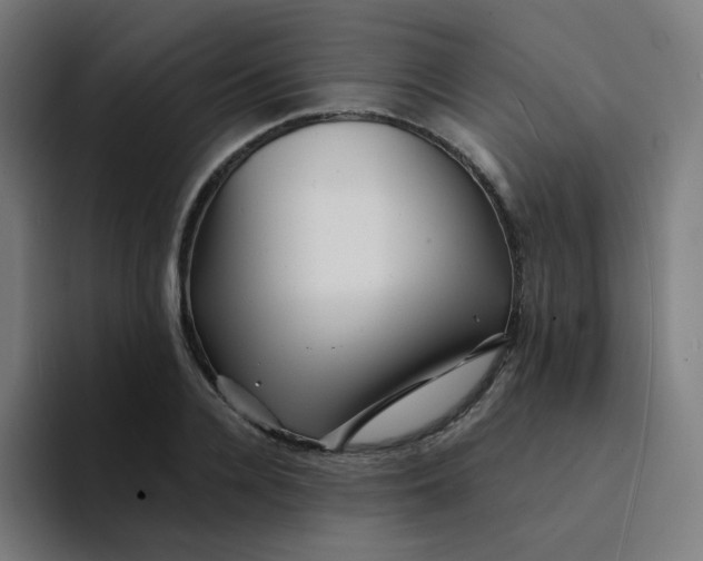 X0000094190936200711161745