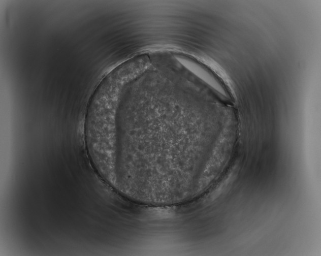 X0000094190937200711161745