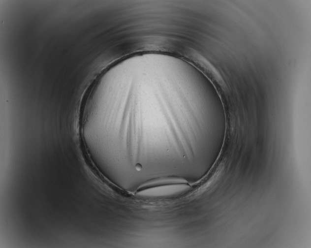 X0000094190938200711161745