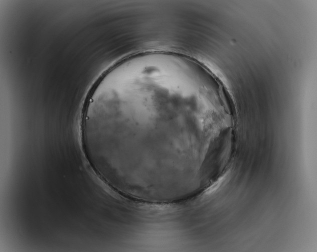 X0000094190941200711161745