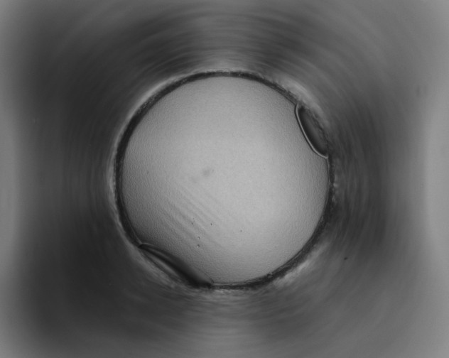 X0000094190942200711161745