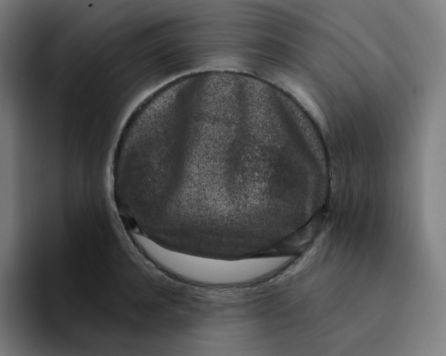 X0000094190944200711161745