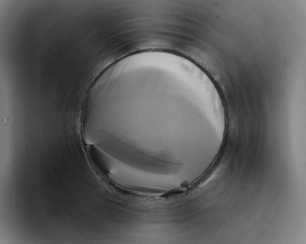 X0000094190945200711161745