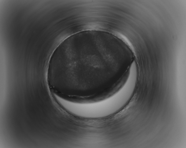 X0000094190946200711161745