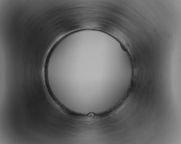 X0000094190947200711161745