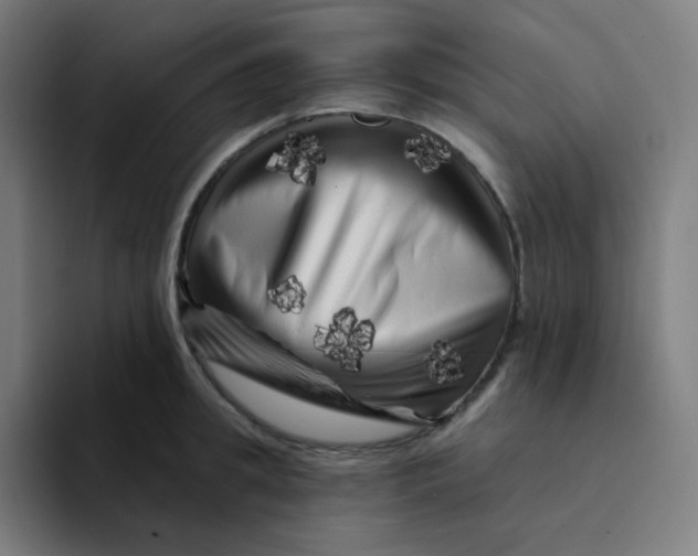 X0000094190949200711161745