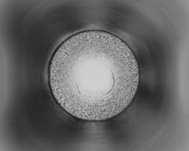 X0000094190950200711161745