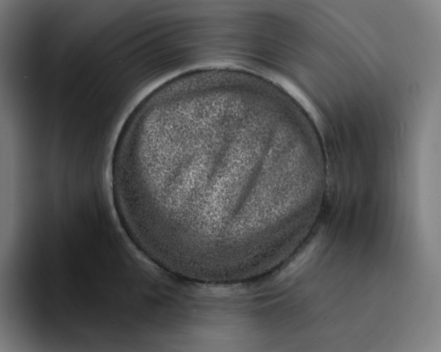 X0000094190951200711161745