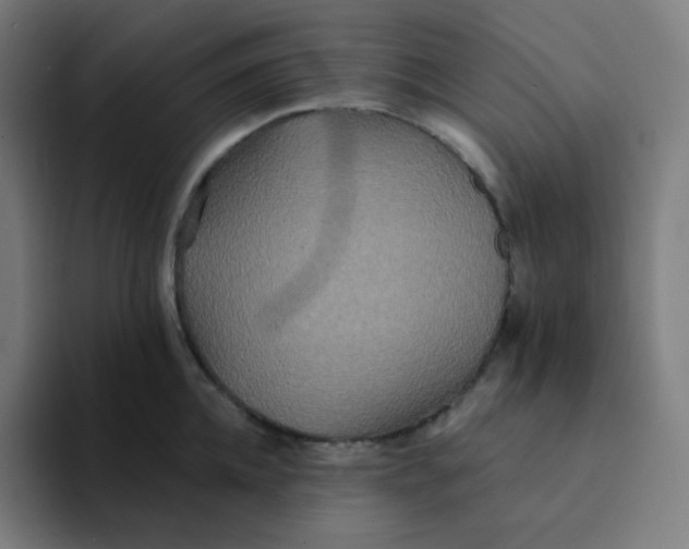 X0000094190952200711161745