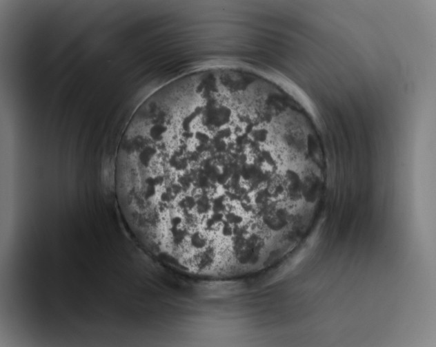 X0000094190953200711161745