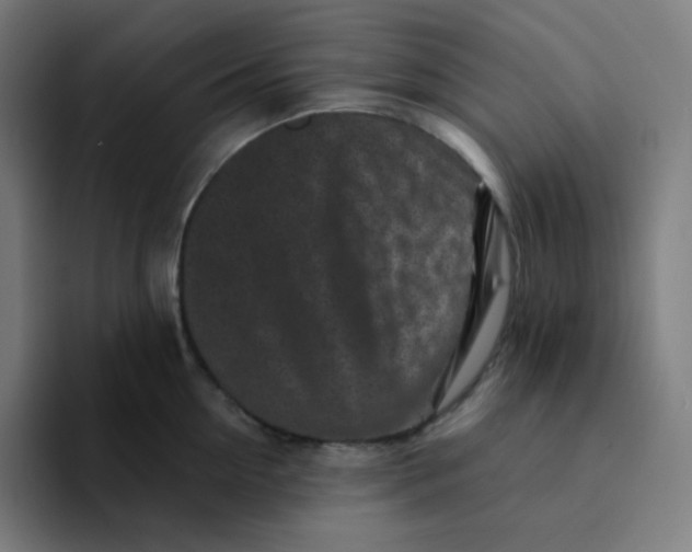 X0000094190954200711161745