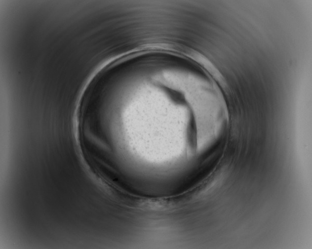 X0000094190955200711161745