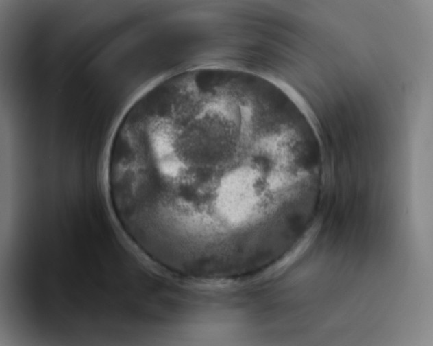 X0000094190957200711161745