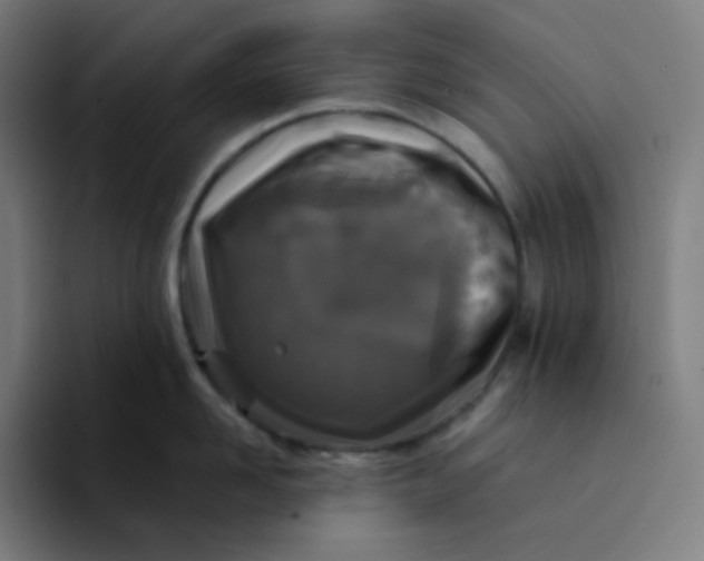 X0000094190958200711161745