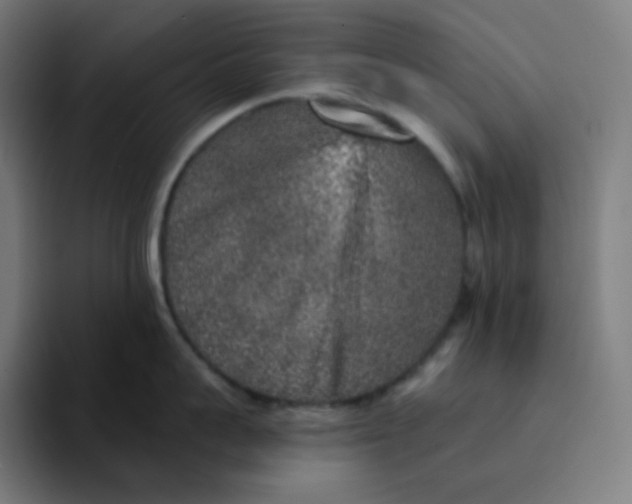 X0000094190959200711161745