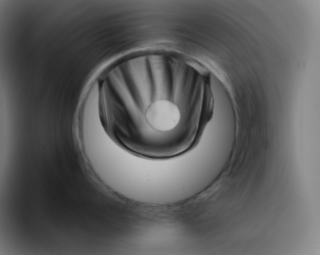 X0000094190960200711161745