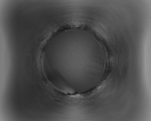 X0000094190961200711161745