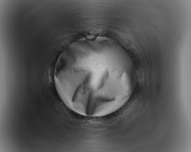 X0000094190962200711161745