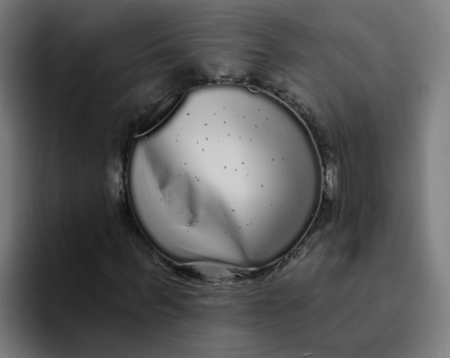 X0000094190963200711161745