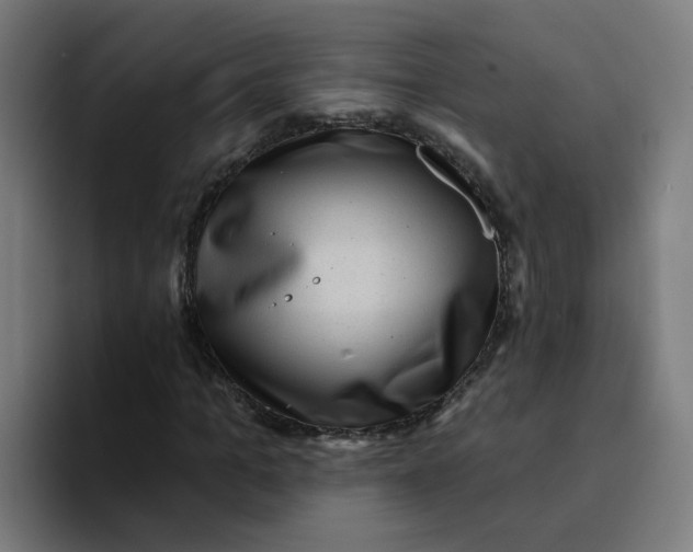 X0000094190965200711161745