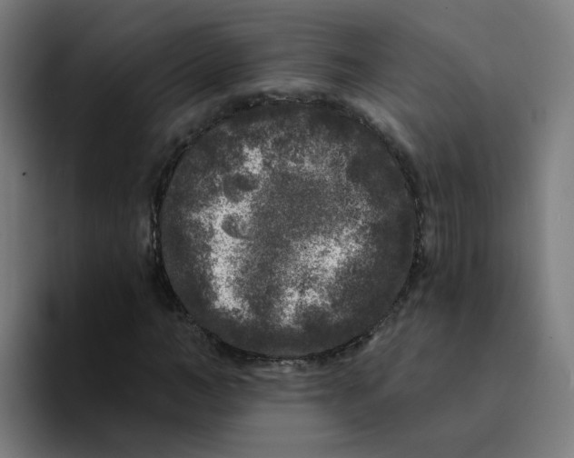 X0000094190966200711161745