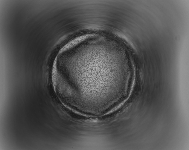 X0000094190968200711161745