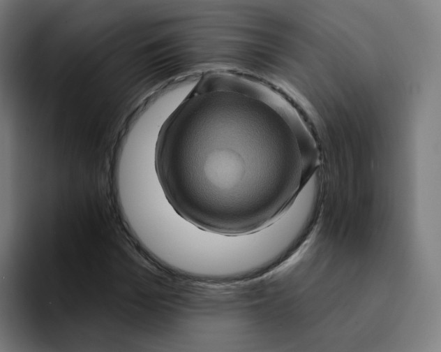 X0000094190969200711161745