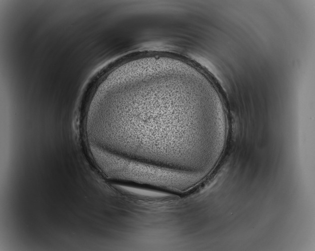 X0000094190971200711161745