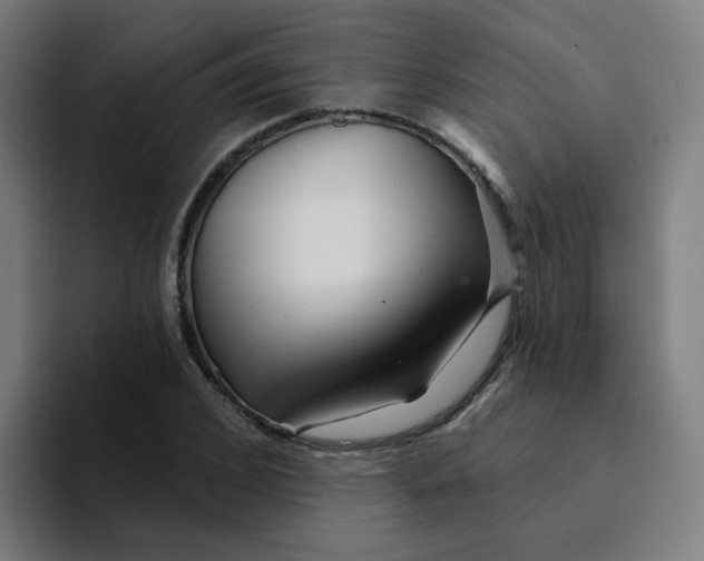 X0000094190976200711161744