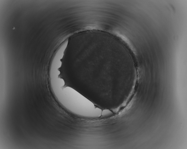 X0000094190977200711161744