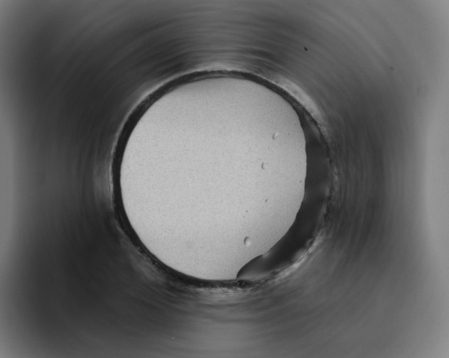 X0000094190980200711161744