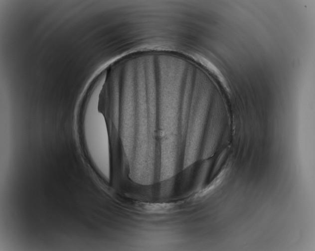 X0000094190981200711161744