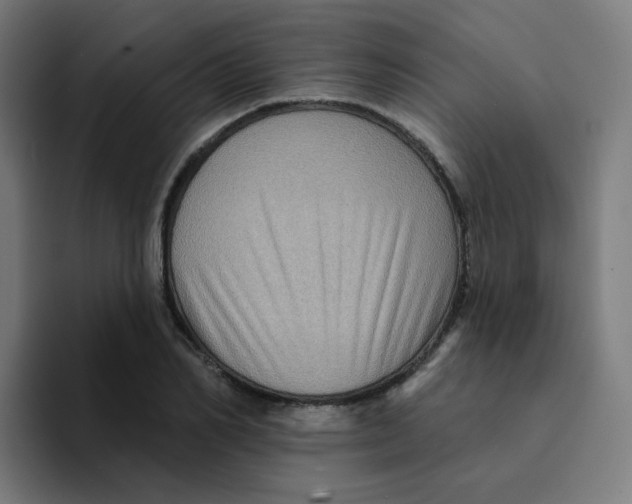 X0000094190982200711161744