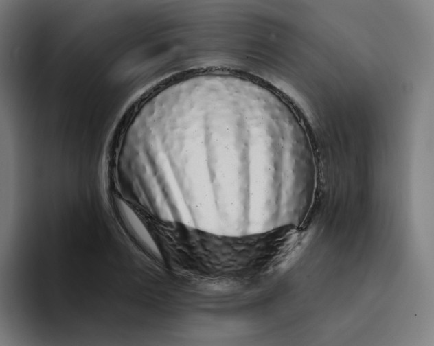 X0000094190983200711161744