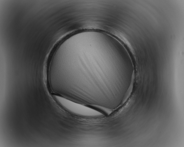 X0000094190984200711161744