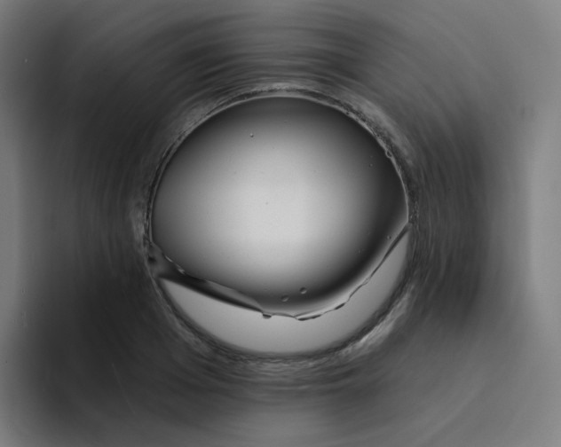 X0000094190985200711161744