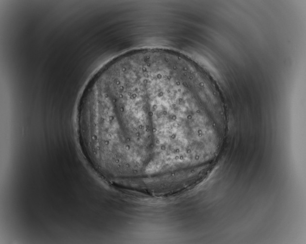 X0000094190990200711161744