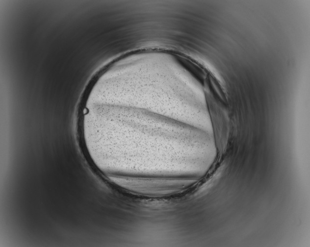 X0000094190991200711161744